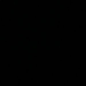 Meet your Posher, Jackson